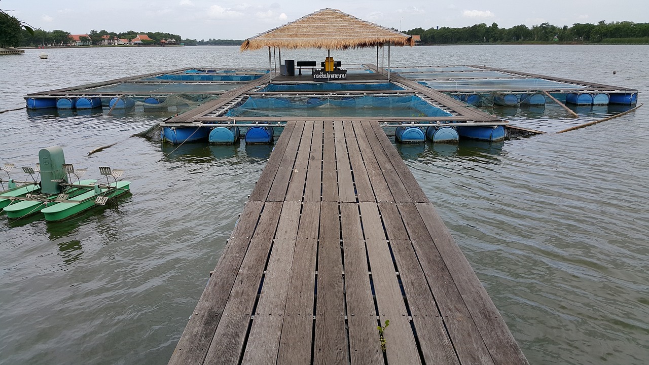 六安水族器材滤材（水族过滤器材）