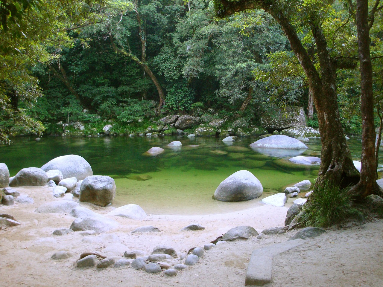 溪流缸养水虎（溪流缸养什么） 食人鱼（水虎） 第4张