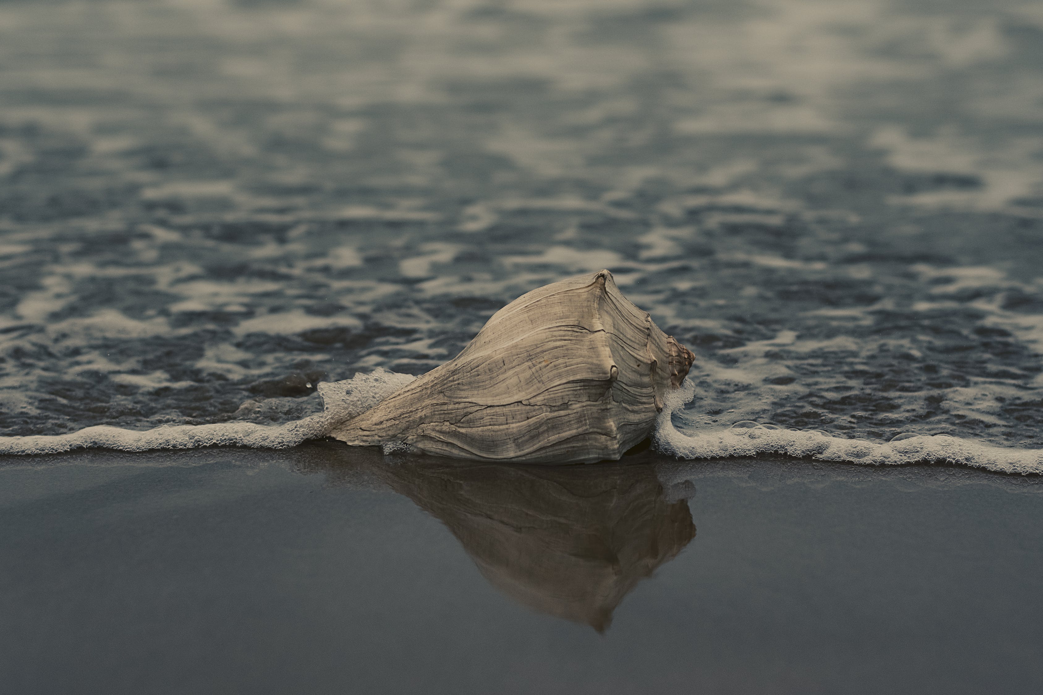 溪流缸怎么清理（溪流缸怎么清理粪便） 广州景观设计 第2张