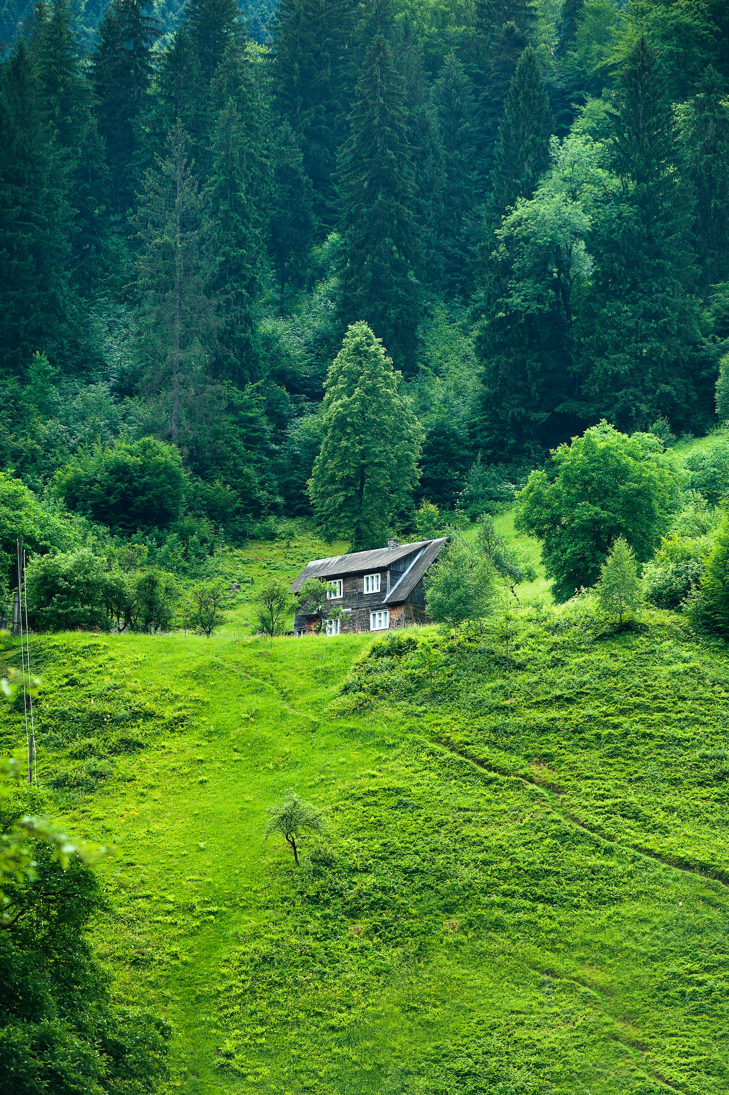 白城卖鱼缸的地方在哪儿呀电话（白城观赏鱼店）