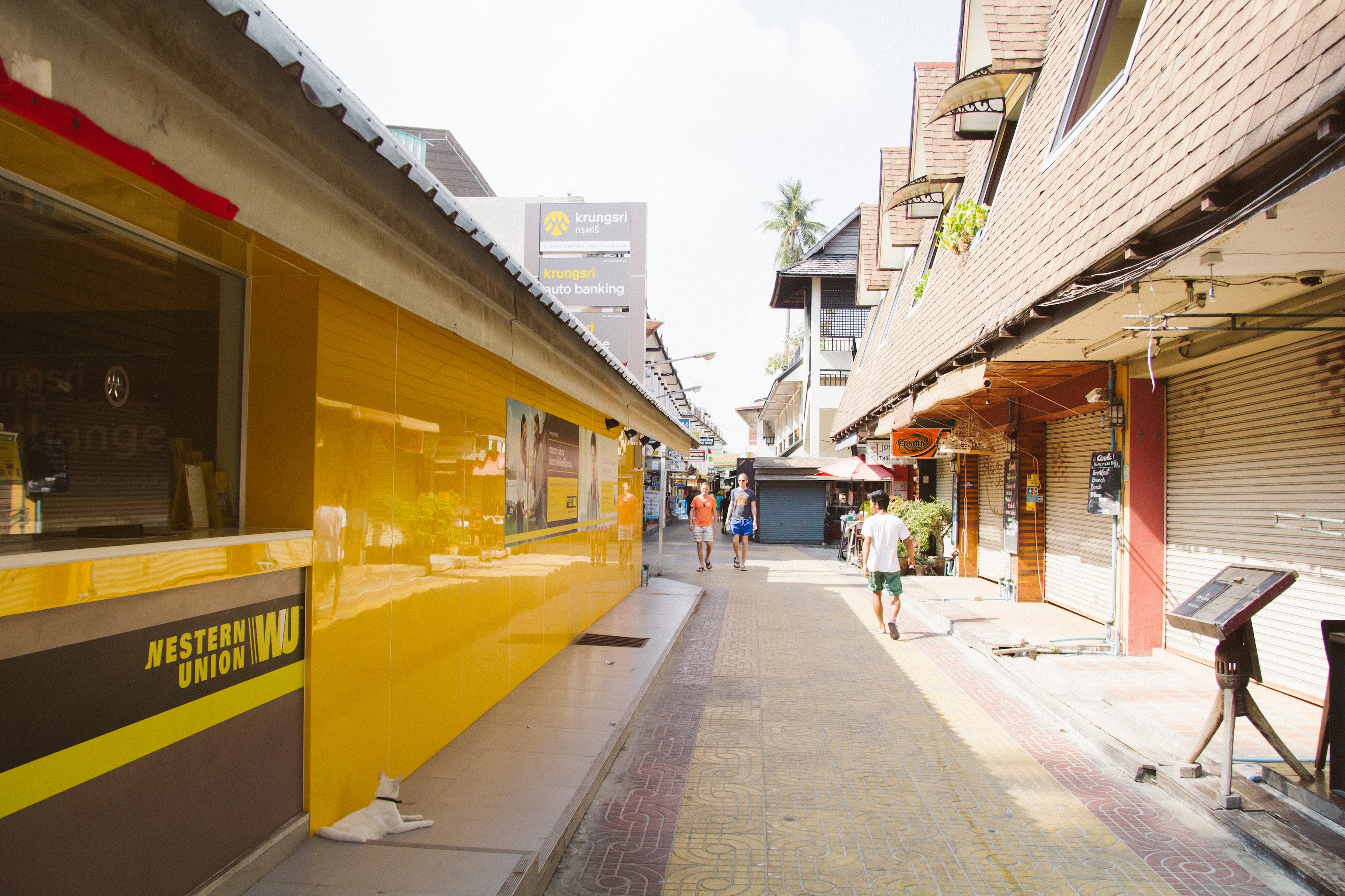 湘潭市岳塘区裕花香观赏鱼店（湘潭市岳塘区裕花香观赏鱼店地址）