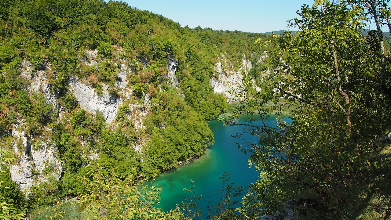 鱼池小溪流水设计（鱼池小溪流水设计图片） 广州景观设计 第1张