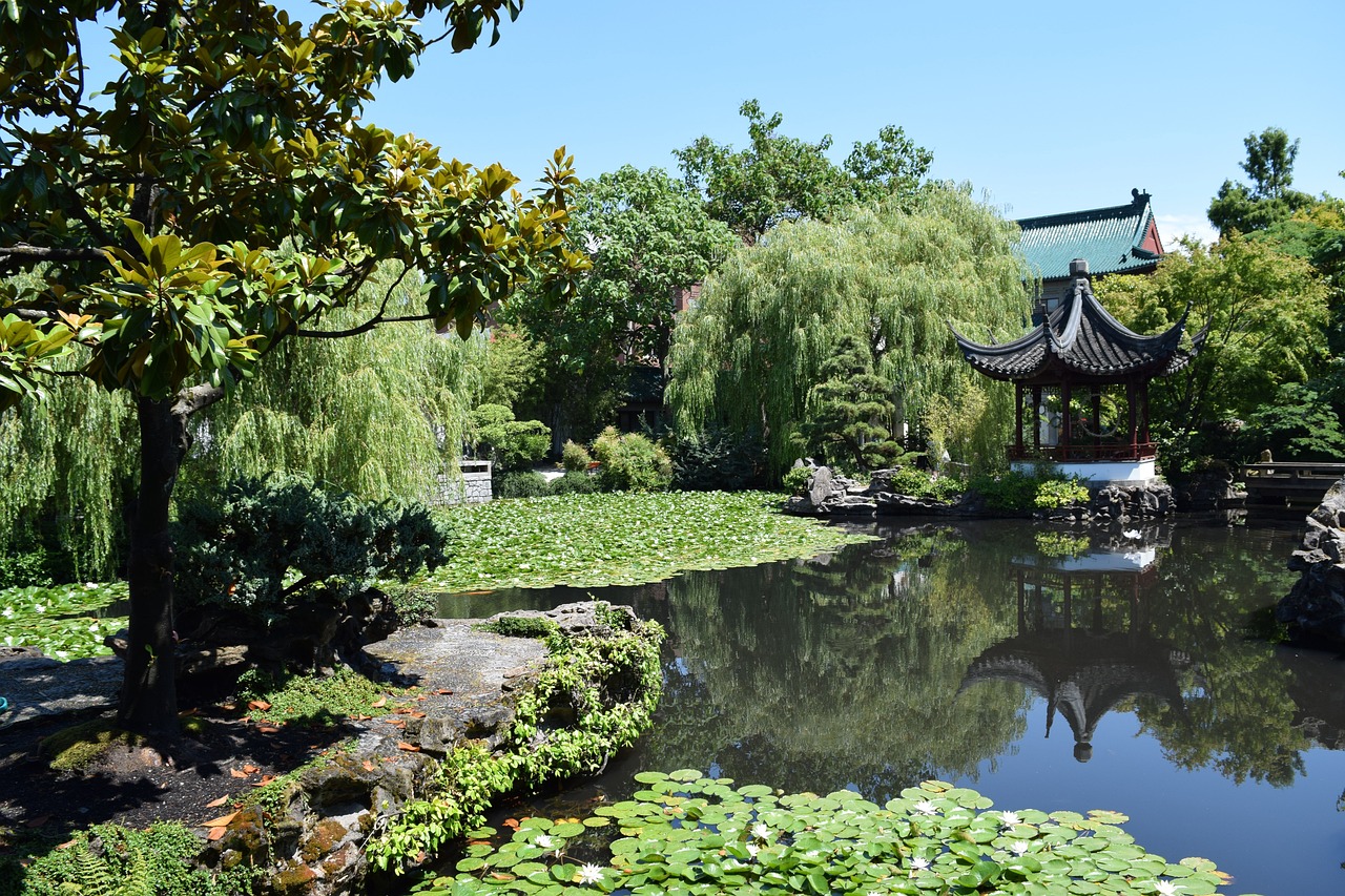 鱼池园林景观设计（鱼池园林景观设计图片）