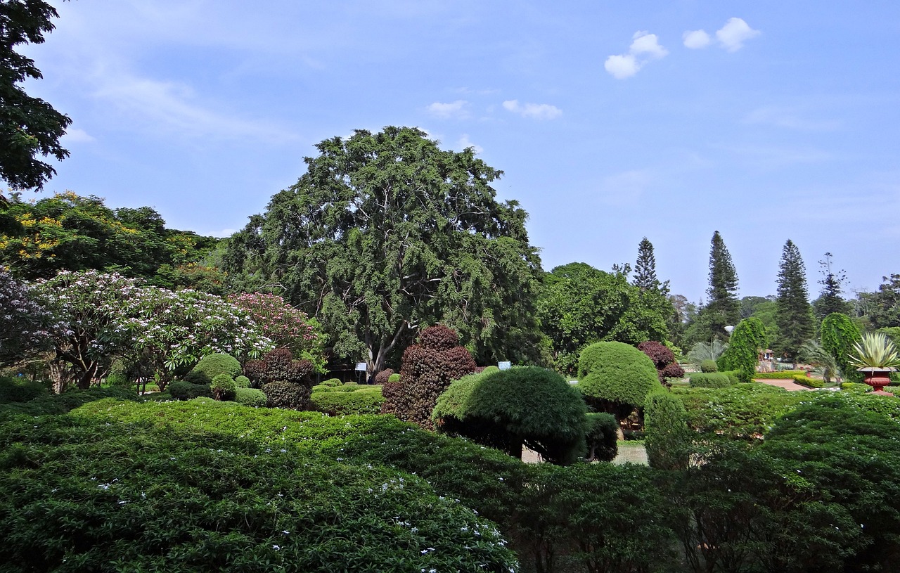 全椒县大鹏园林水景经营部（全椒县大鹏园林水景经营部地址） 全国水族馆企业名录 第5张