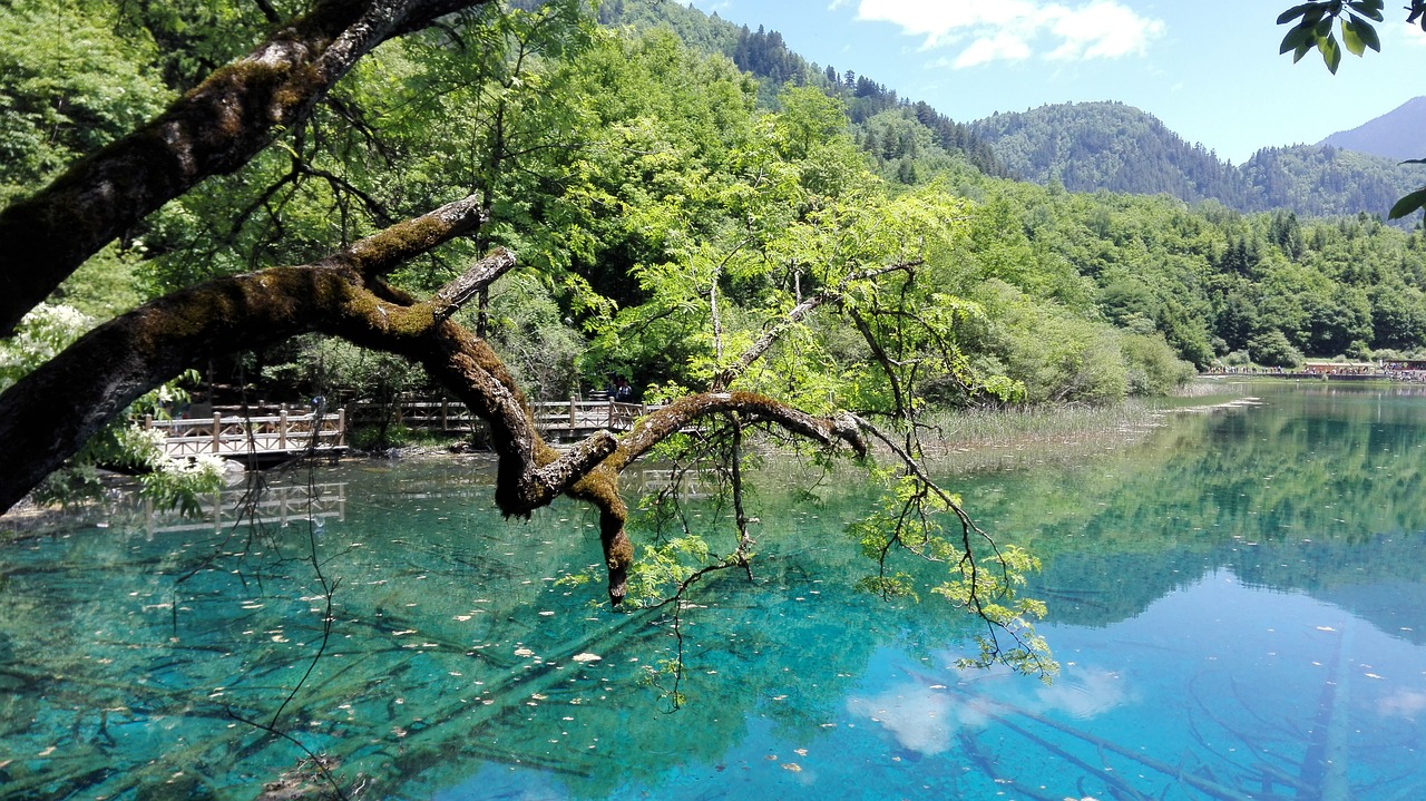 浮梁县鹅湖镇农龙黄鳝养殖场（浮梁县鹅湖镇农龙黄鳝养殖场地址） 全国水族馆企业名录 第1张