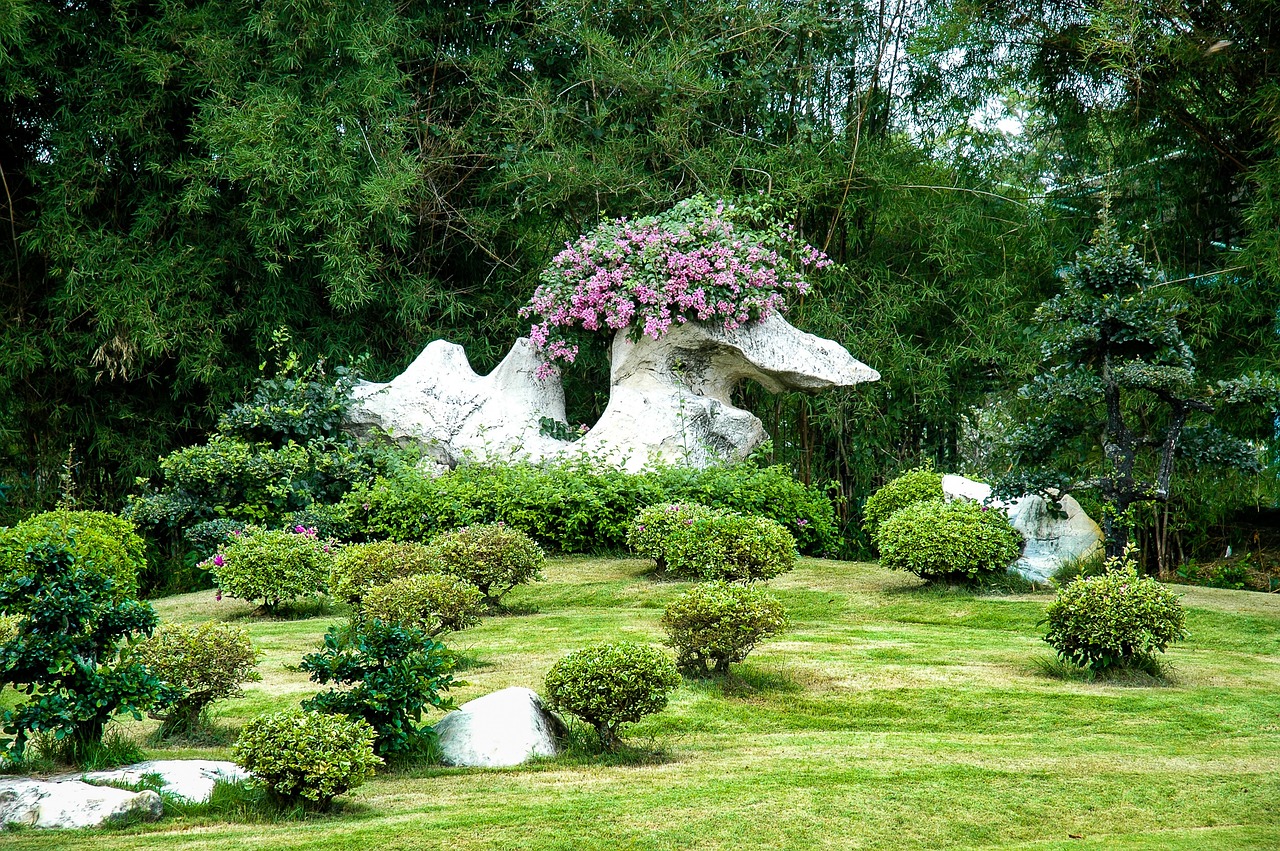 延吉市华侨花卉市场贤石鱼缸摊床（延吉市花鸟鱼市场位置） 全国水族馆企业名录 第2张