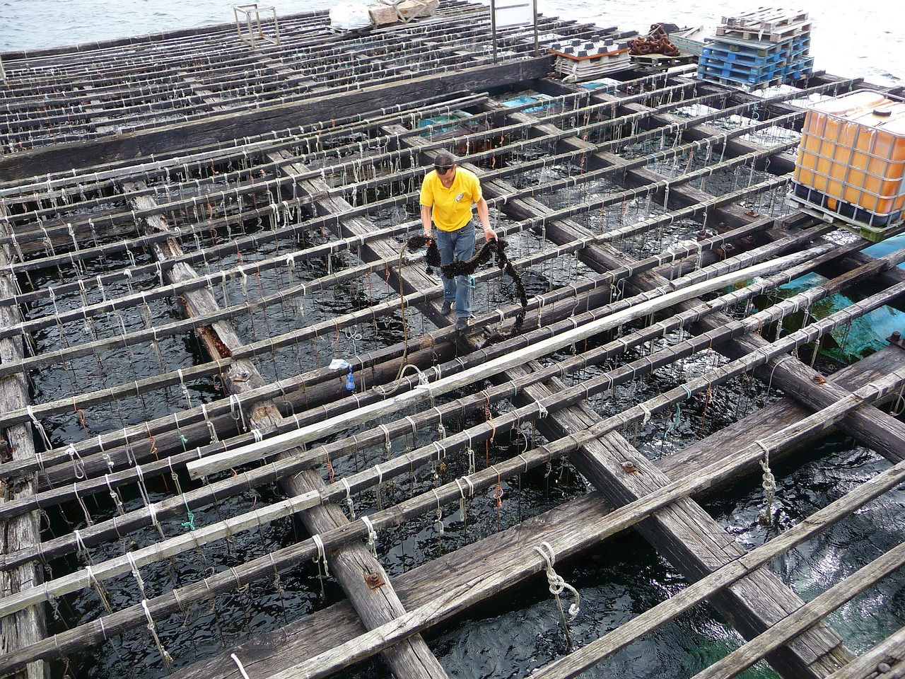 重庆市渝北区兴发活海鲜蓄养设备厂（重庆市渝北区兴发活海鲜蓄养设备厂地址） 全国水族馆企业名录 第2张