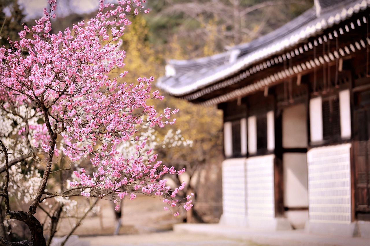 神木梅子花卉园林绿化有限公司（神木梅苑酒店预订电话）