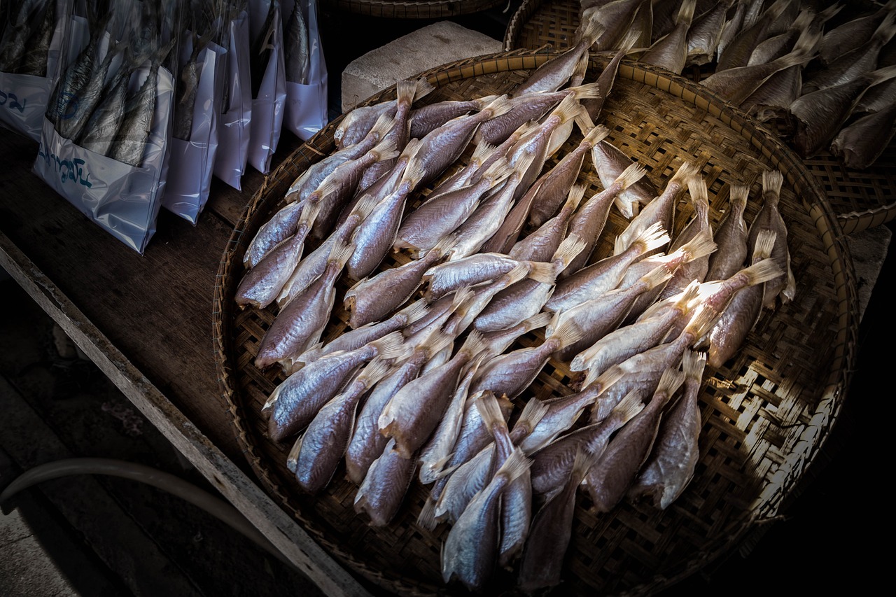 金鼓鱼市场多少钱一斤，金鼓鱼批发价格 养鱼知识 第1张