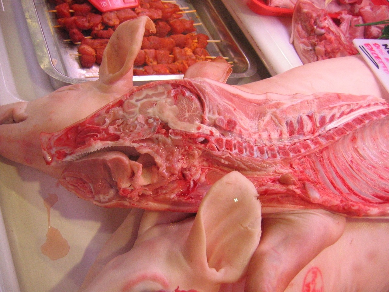 金鼓鱼市场多少钱一斤，金鼓鱼批发价格 养鱼知识 第2张