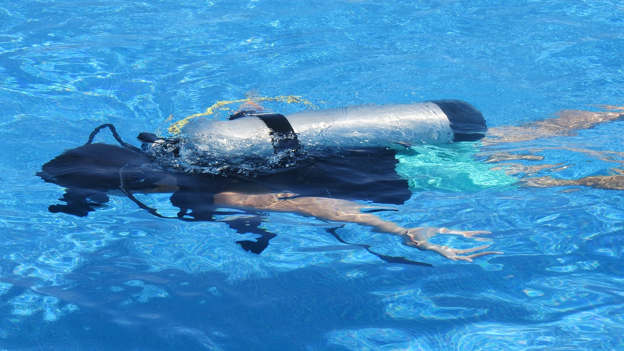 安宁佳远花卉店 全国水族馆企业名录 第4张