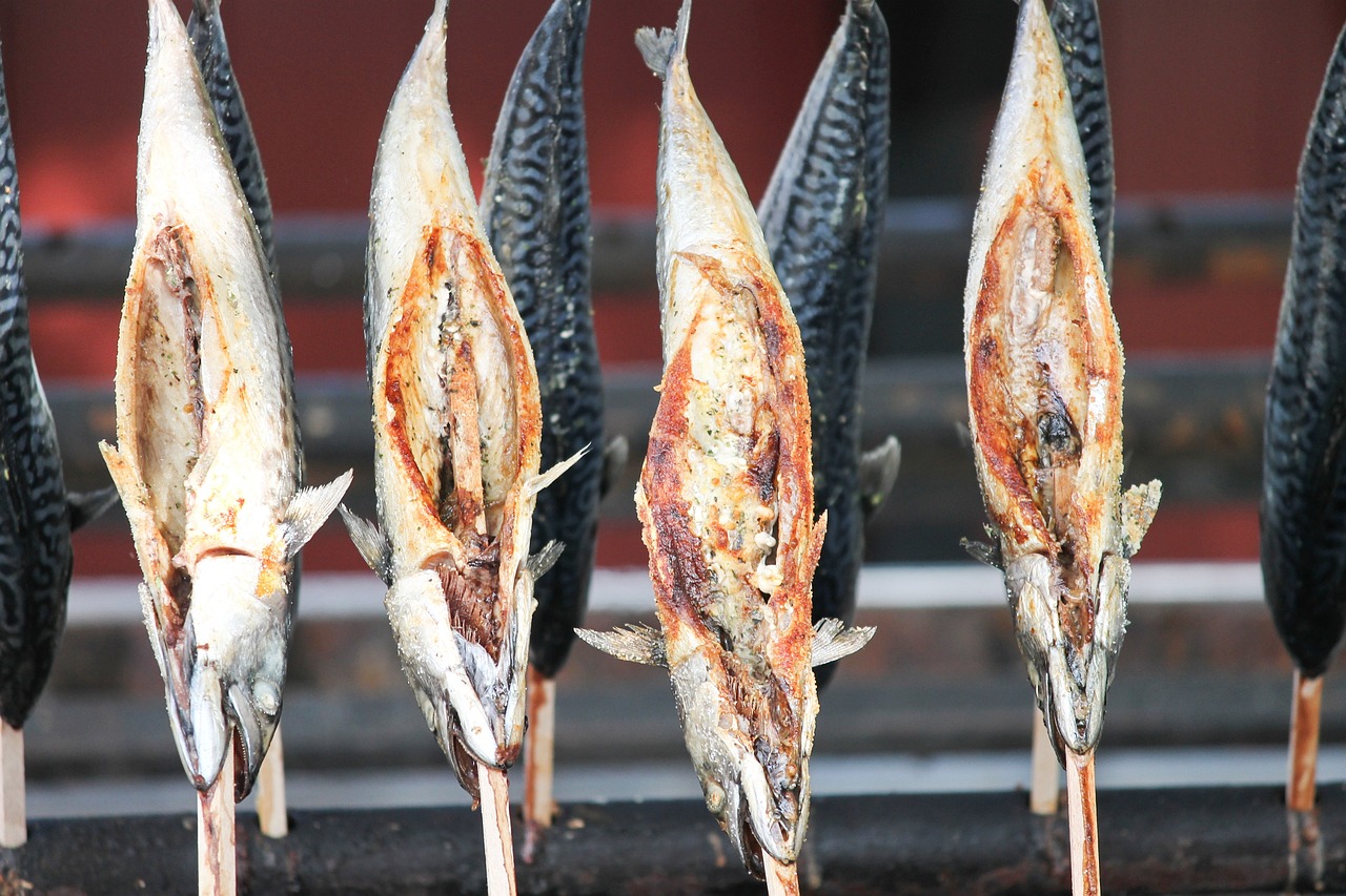 印度尼西亚淡水鱼能吃吗：印度尼西亚鱼类 观赏鱼 第4张