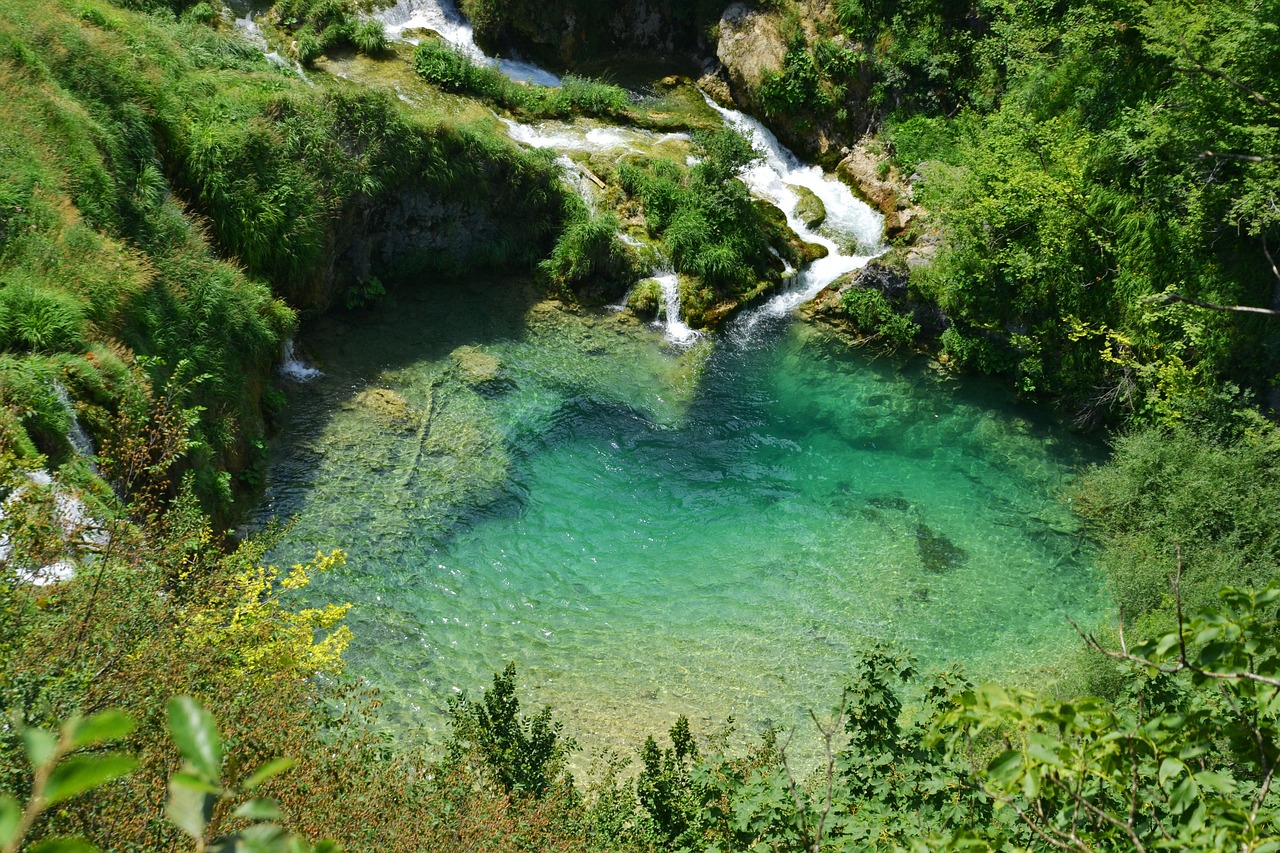 森林鱼缸怎么样换水位视频（森林景鱼缸）