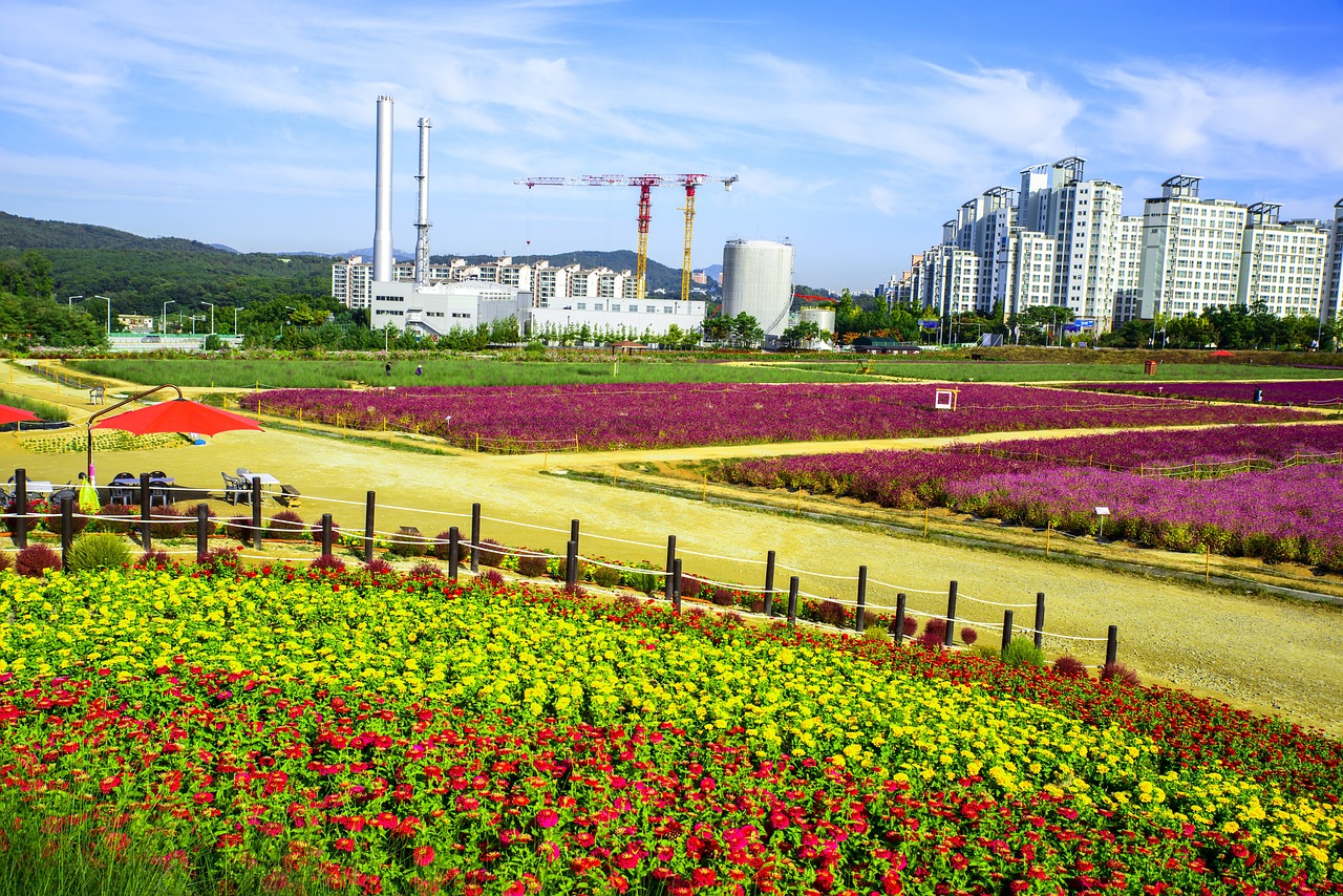 廊坊市安次区西环路艺景翔花卉经销部（廊坊 花卉） 全国水族馆企业名录 第1张