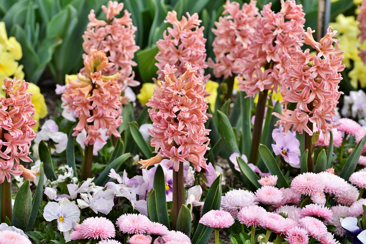 平果县月祺香花铺