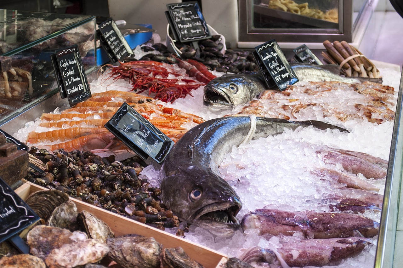 珠海观赏鱼市场有哪些店名