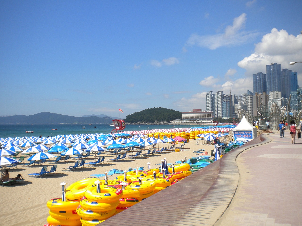 阜新市细河区友家海水俱乐部（阜新市细河区友家海水俱乐部地址） 全国水族馆企业名录 第5张