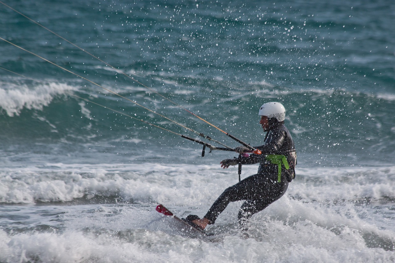 海南过江龙鱼多少钱一只啊（海南过江龙鱼多少钱一只啊） 广州水族器材滤材批发市场 第1张