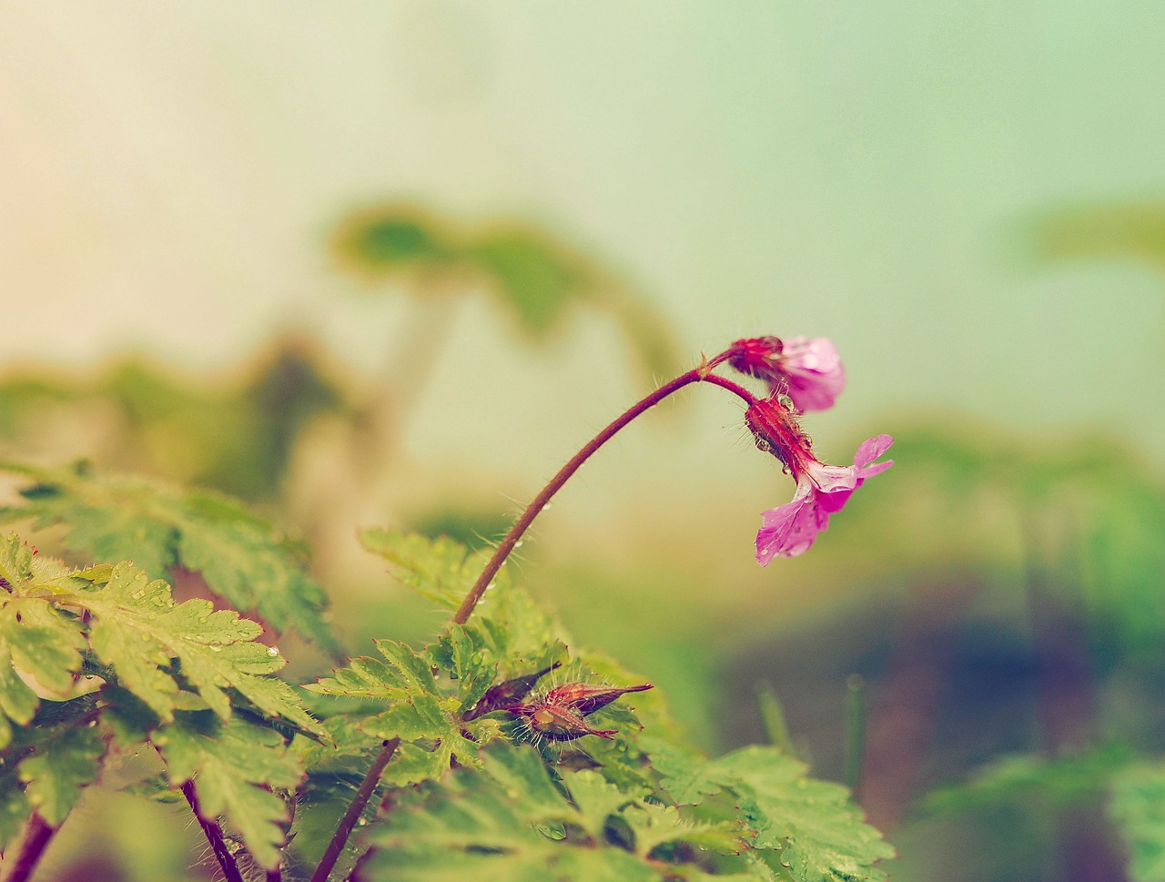 上饶县花花世界（上饶花海） 全国水族馆企业名录 第2张