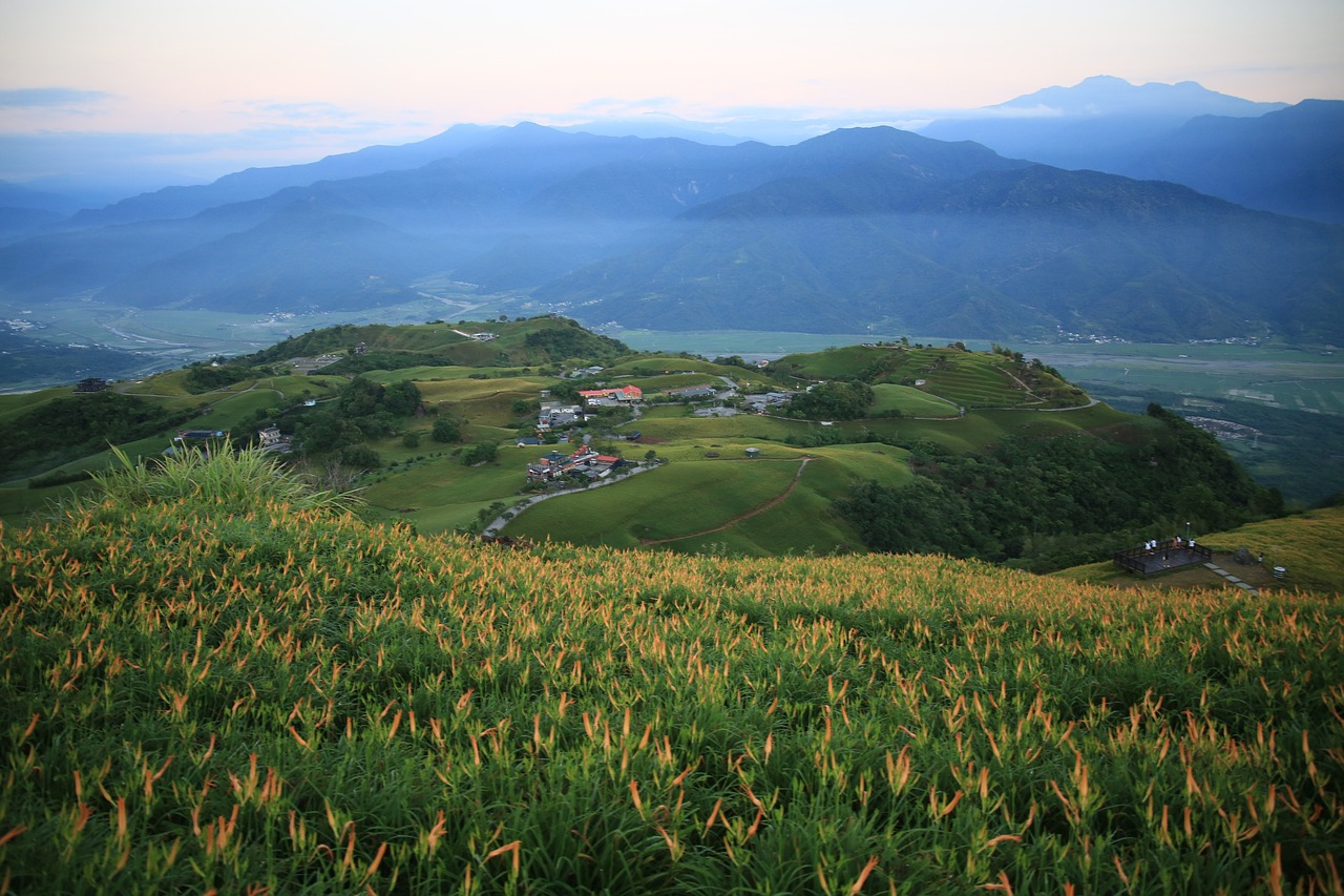 文登区小观镇四季花卉中心（文登区小观镇四季花卉中心地址）