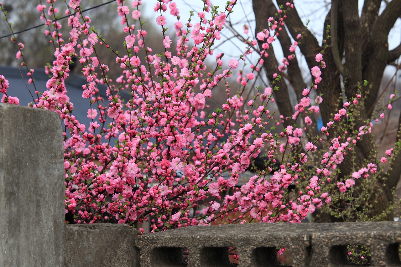 嘉祥县城区万家园鲜花店（嘉祥县城区万家园鲜花店电话） 全国水族馆企业名录 第1张