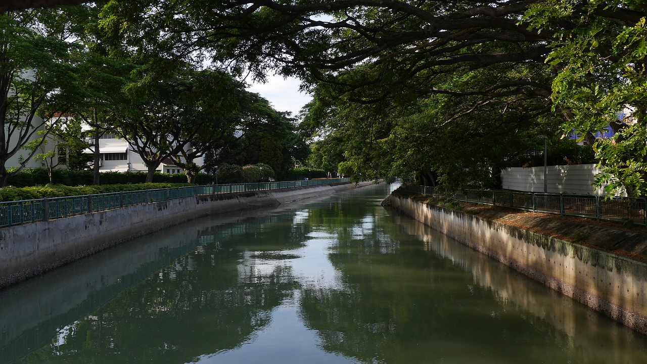 宜宾市翠屏区老曾金鱼乐园（宜宾市翠屏区老曾金鱼乐园地址）