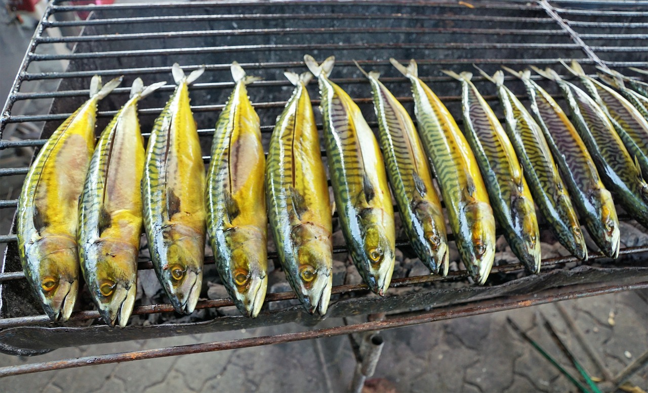 鱼缸鱼食吸走了怎么办（鱼食被过滤吸走怎么办） 哥伦比亚巨暴鱼苗 第1张