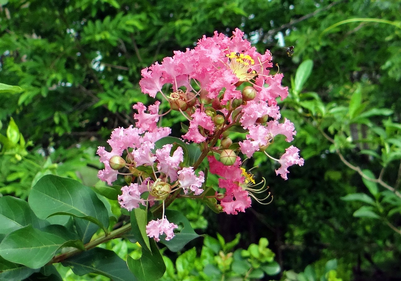 ph调节剂有哪些(ph调节剂的作用)