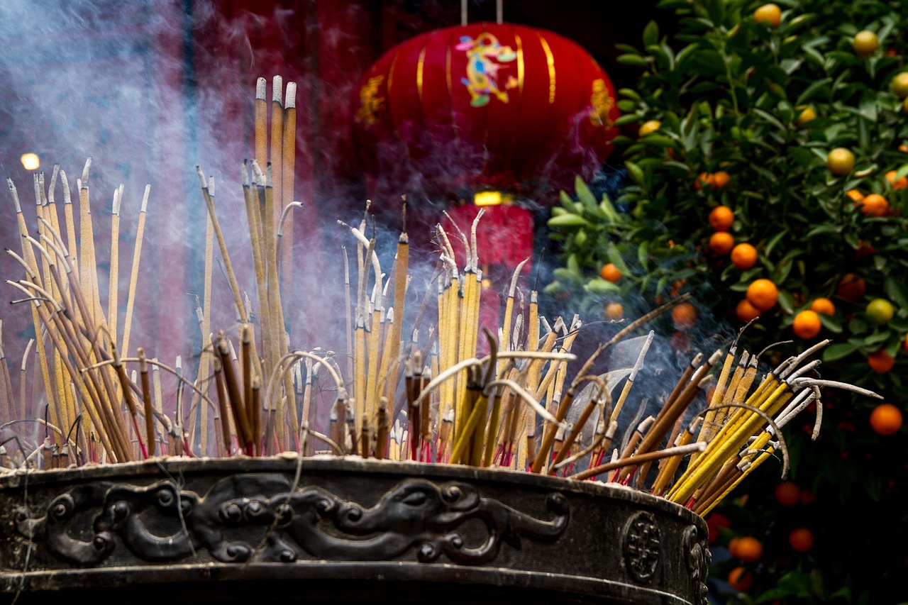 平湖哪里有卖鱼缸的地方啊图片大全集（平湖花鸟鱼虫市场） 绿皮辣椒小红龙 第1张