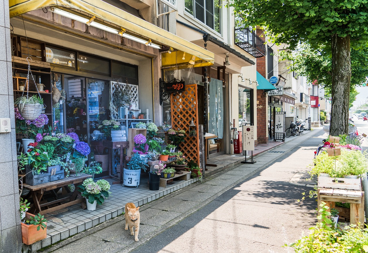 肥城市田氏鱼缸店（肥城市田氏鱼缸店电话）