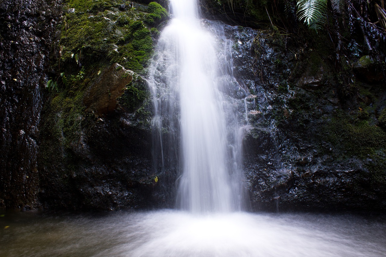 小庭院水景锦鲤池设计（庭院养锦鲤鱼池设计建造） 水草 第1张