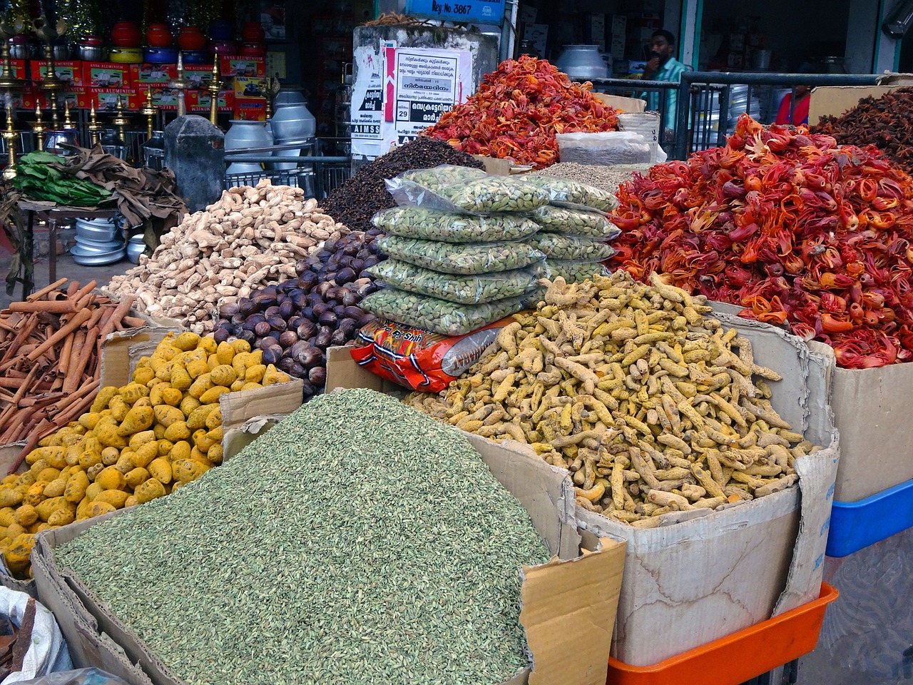 自贡水族批发市场在哪里啊最近（自贡最大的水产批发市场在哪里） 观赏鱼水族批发市场 第2张