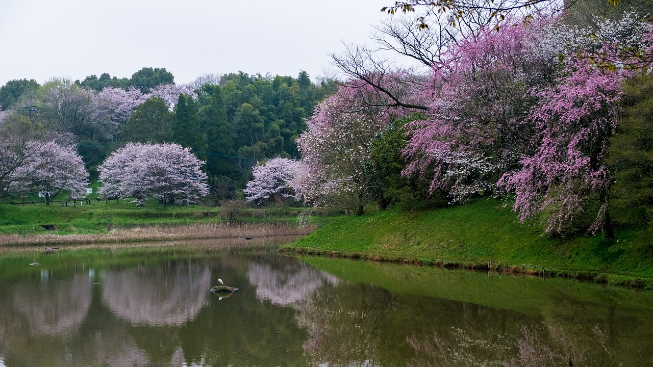 1米5鱼缸造景方案（一米五的鱼缸裸缸还是造景） 观赏鱼鱼苗 第2张