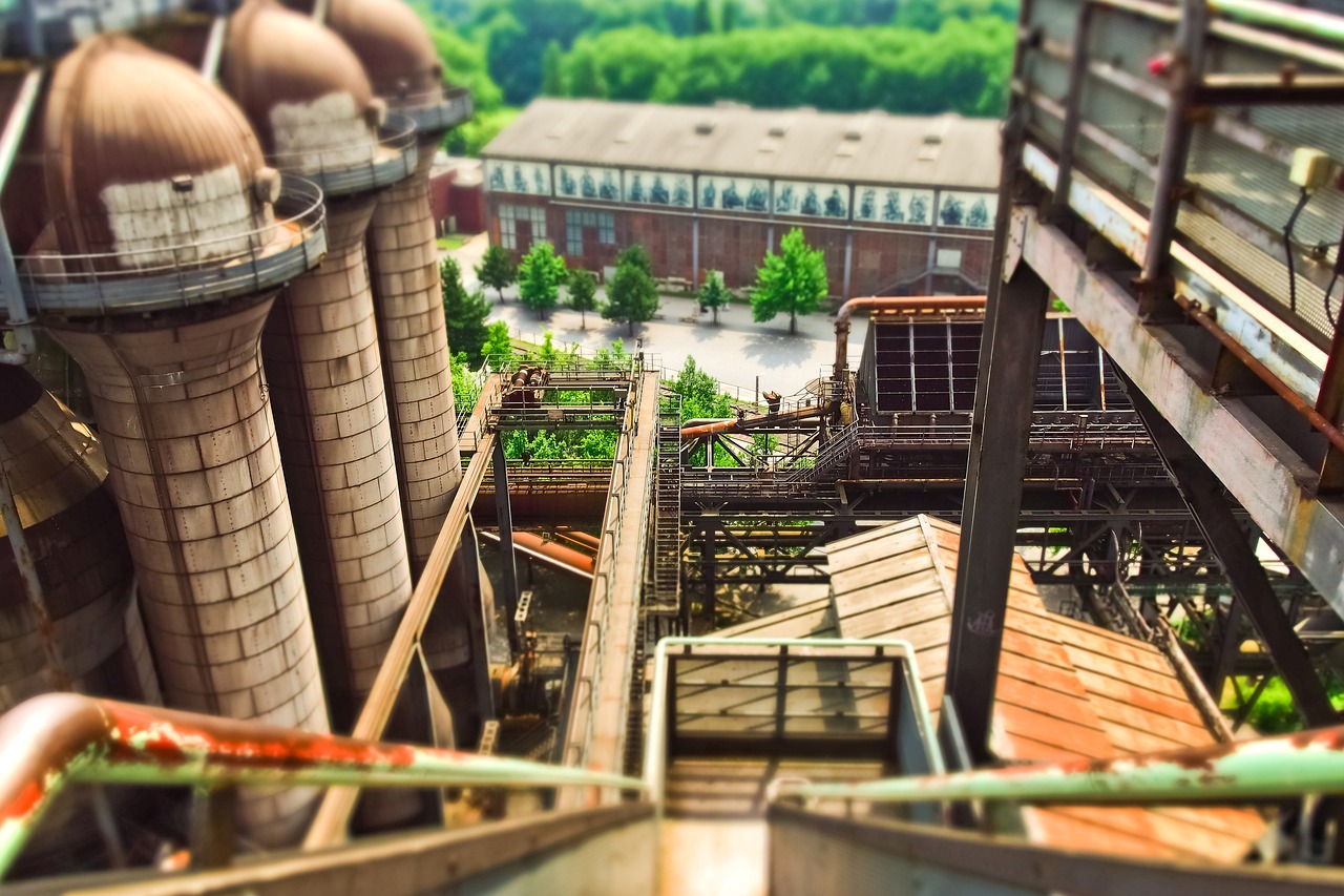 石家庄水族批发市场在哪里呀最近（石家庄水产品批发市场在哪）