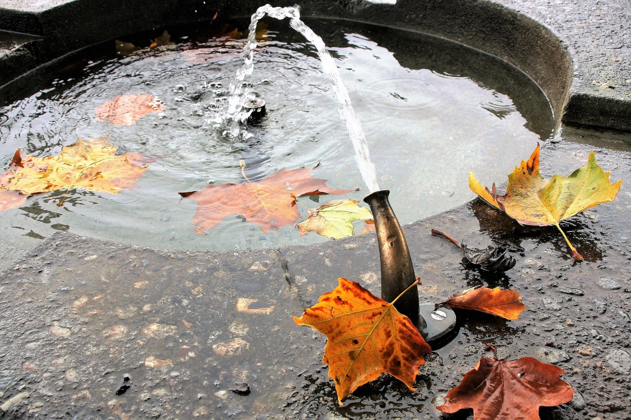 鱼缸换水多少钱一天，怎么给鱼缸换水 冲氧泵 第1张