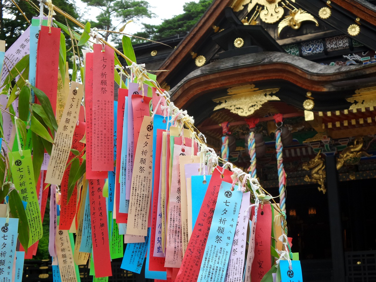 西安玛士特超白鱼缸厂电话号码（西安玛士特超白鱼缸厂电话号码） 其他品牌鱼缸 第1张