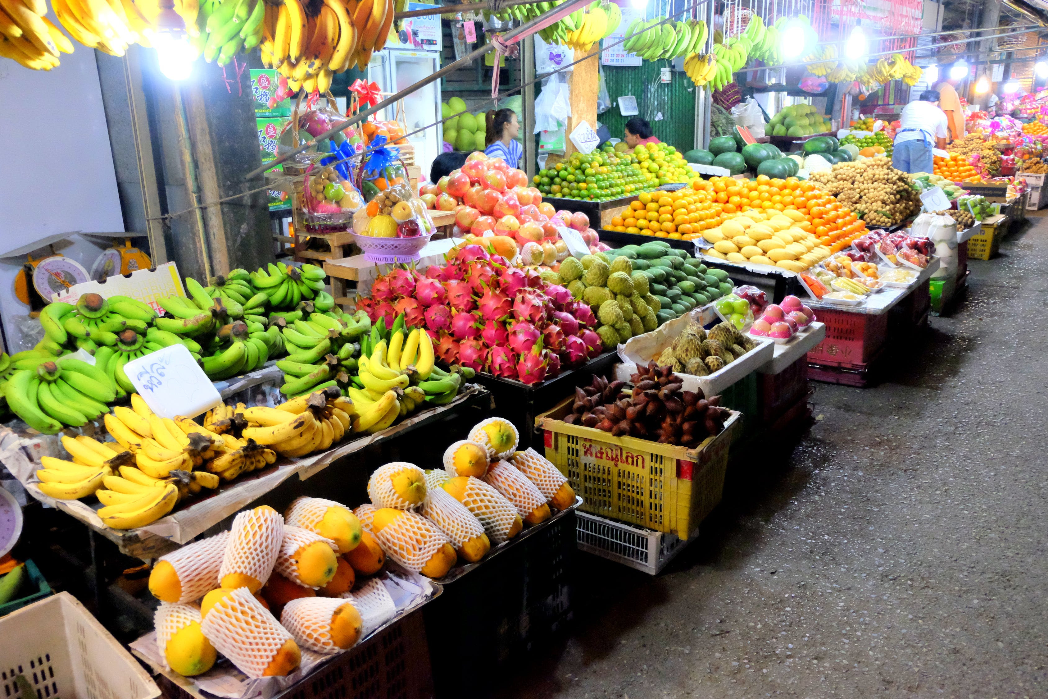 大连家具市场热带雨林鱼店（大连热带鱼批发市场）