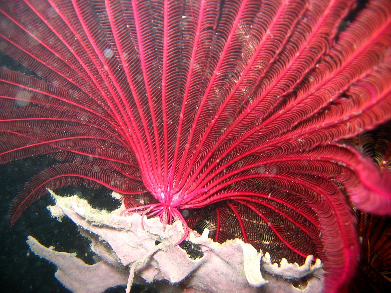 上海市普陀区卓然水族馆（上海市普陀区卓然水族馆地址） 全国水族馆企业名录 第1张