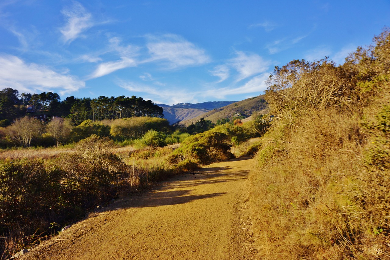 秀山县浪子造景景观艺术中心（秀山县浪子造景景观艺术中心地址） 全国水族馆企业名录 第3张