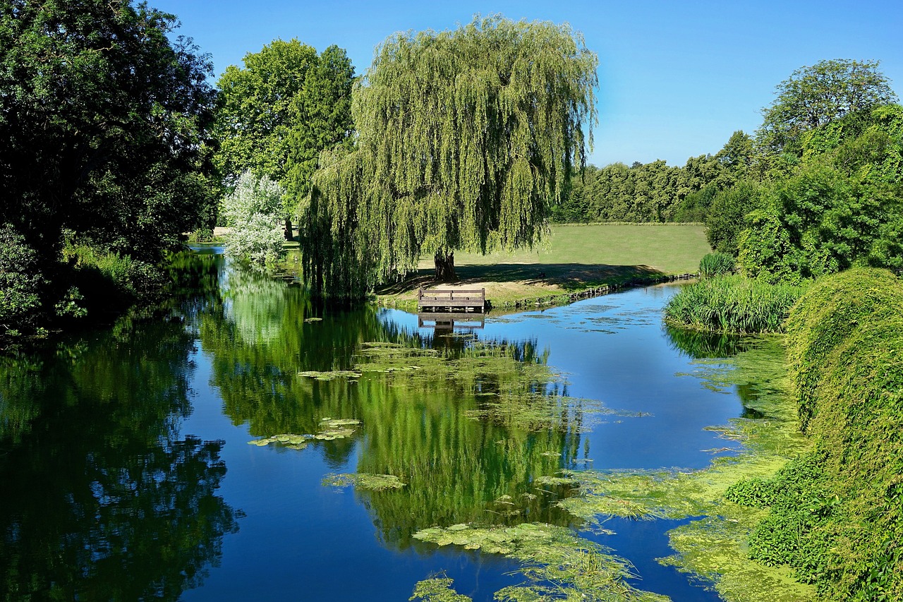 武汉东湖生态旅游风景区绿庭花卉经营部（武汉东湖生态旅游风景区绿庭花卉经营部电话）