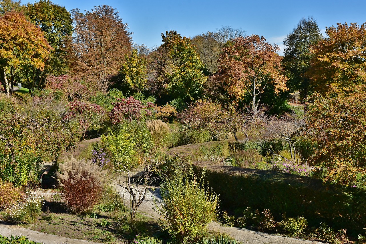 沈阳市和平区旭光花卉种植园（沈阳市和平区旭光花卉种植园地址）