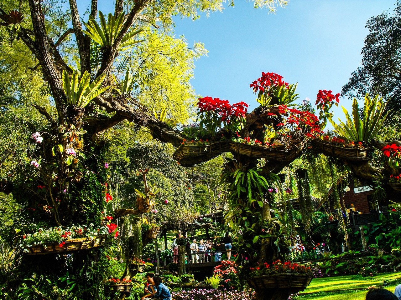 长沙市芙蓉区山语园林花卉商行（长沙市芙蓉区山语园林花卉商行地址）