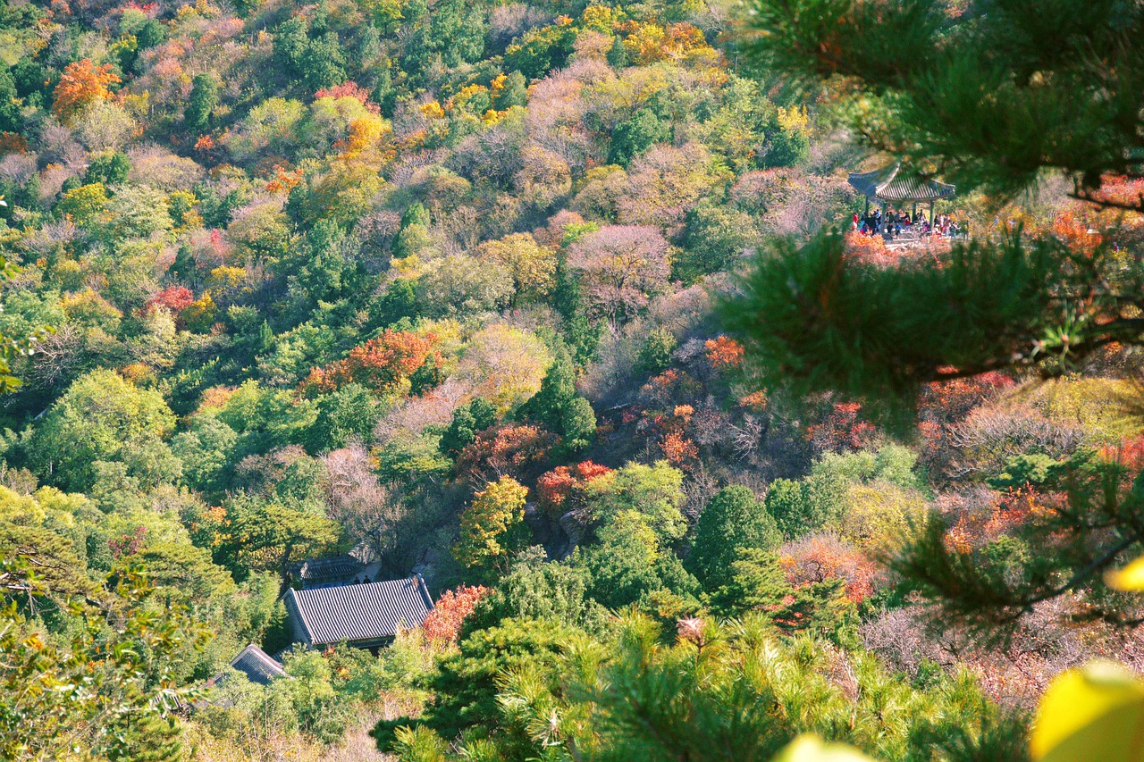 宜宾市翠屏区造景种植养殖场（宜宾市翠屏区造景种植养殖场地址）