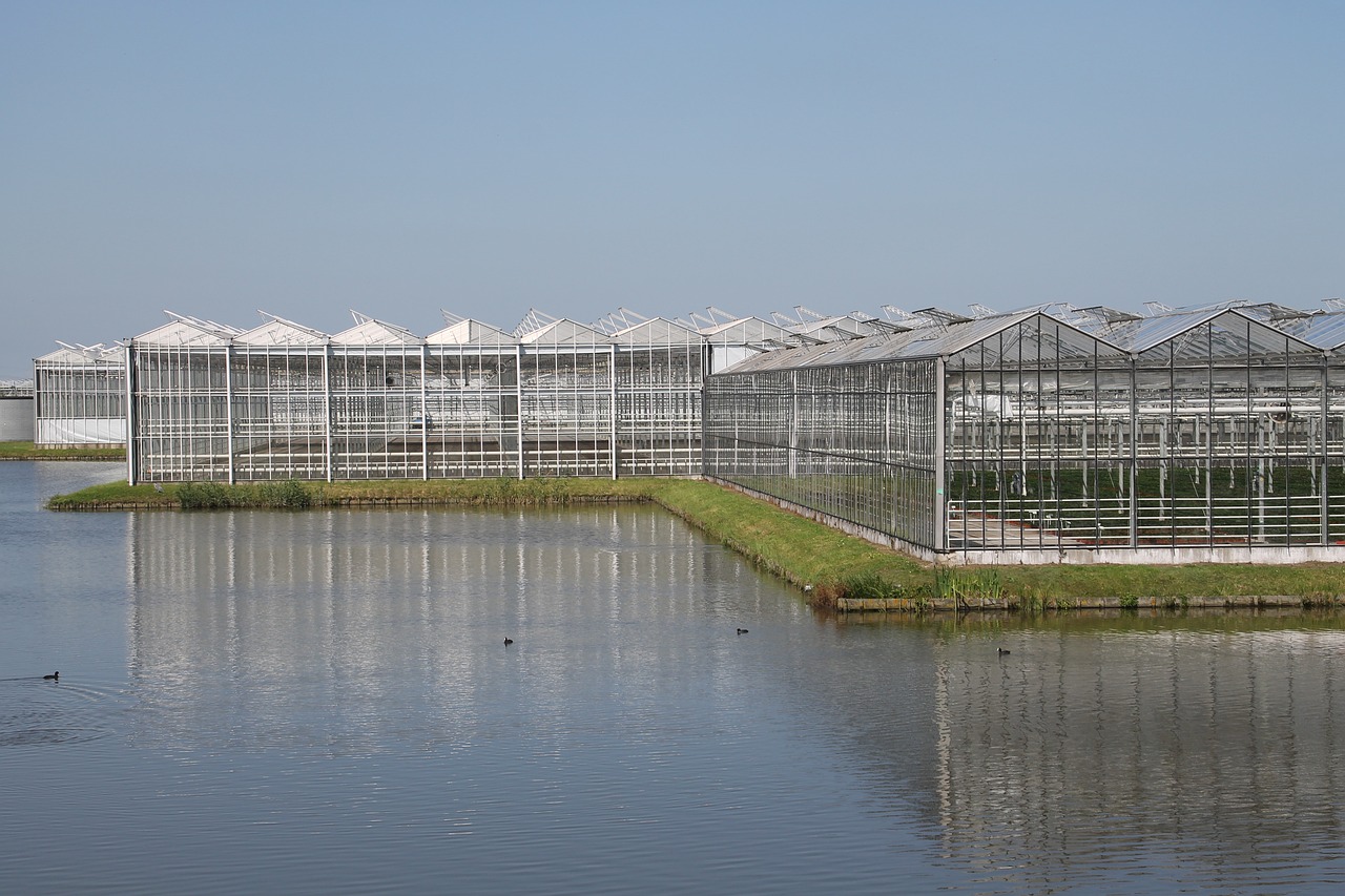 陕西汉唐盛景生态园艺科贸有限公司 全国水族馆企业名录 第3张