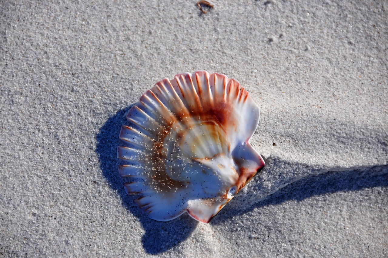 塔城水族批发市场地址在哪里呀多少钱（需要一个少数民族的详细资料 100字左右） 观赏鱼水族批发市场 第3张