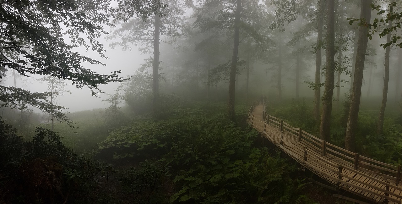 景墙的特点（中式景墙的特点）