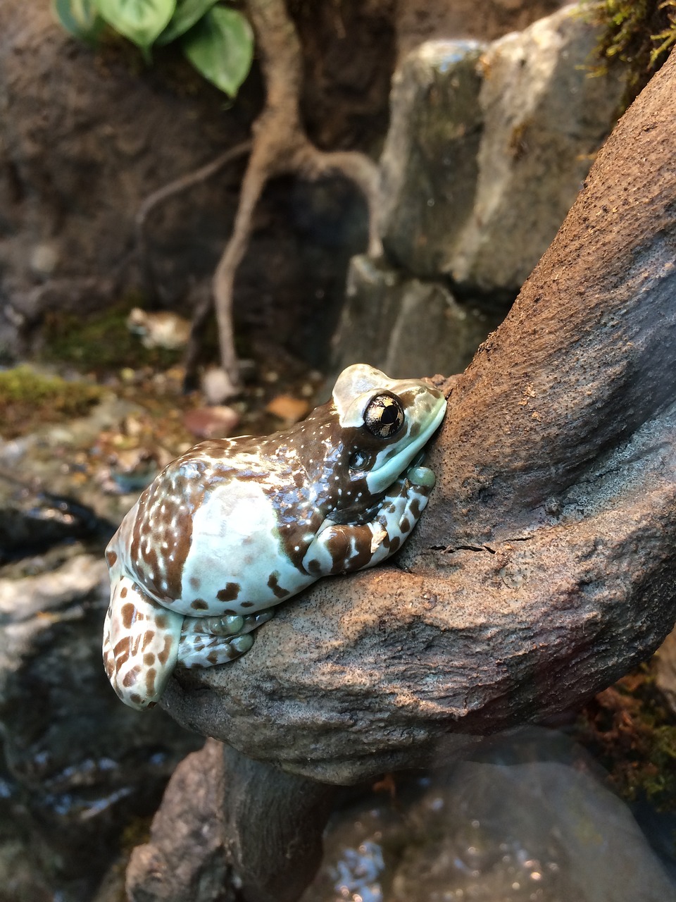 沈阳市和平区谢迎春生态水族店 全国水族馆企业名录 第3张