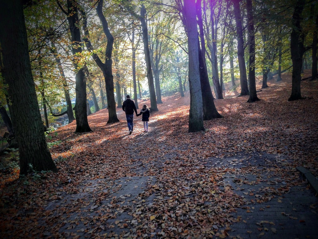 苏州鱼缸造景培训机构有哪些地方（鱼缸造景培训学校） 龙鱼百科 第2张