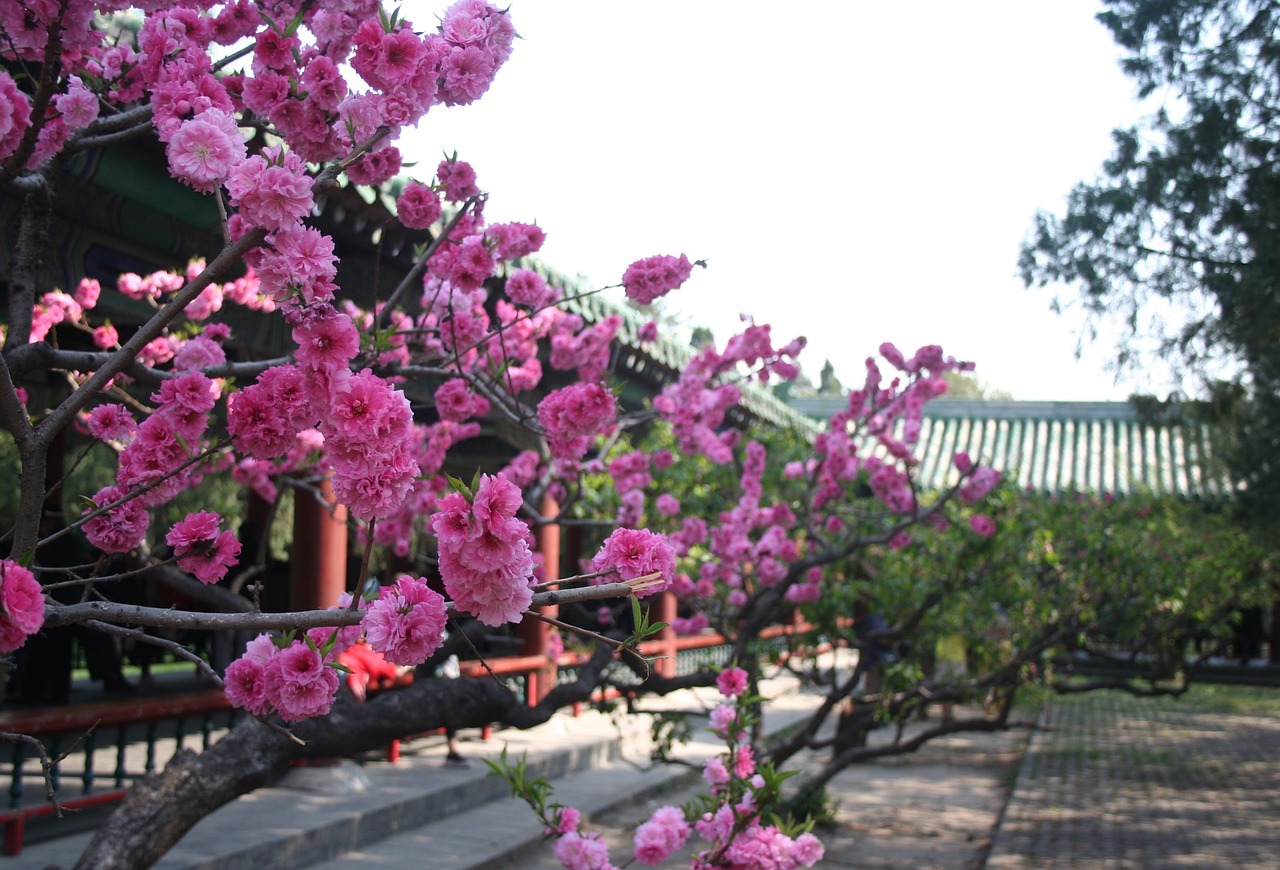 福鼎市园林花卉服务部（福鼎市园林花卉服务部地址） 全国水族馆企业名录 第2张