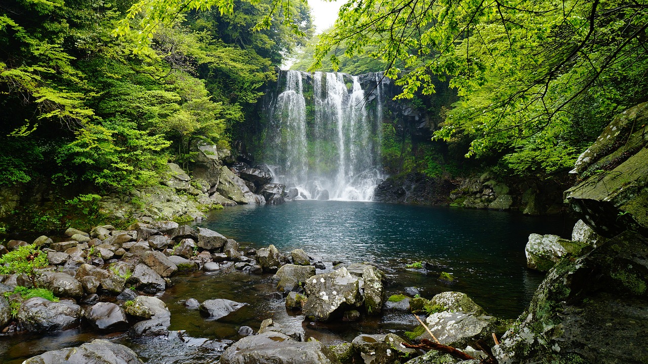 西安哪里批发鱼缸最便宜又好的（西安哪里卖鱼缸的比较多） 未命名 第3张